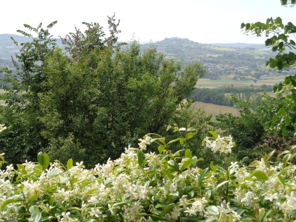 Agriturismo La Torraccia Villa Todi Exteriör bild